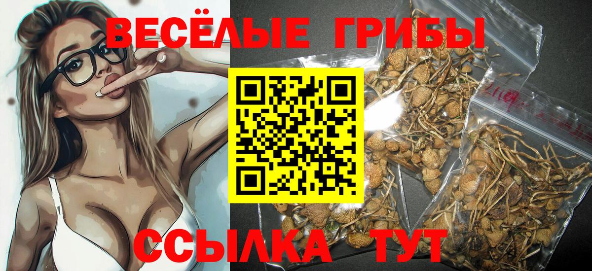 Псилоцибиновые грибы GOLDEN TEACHER Липецк